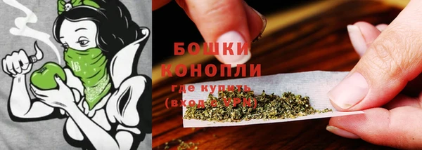 дживик Беломорск