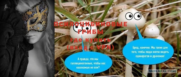 дживик Беломорск